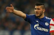 Sead Kolasinac, FC Schalke 04. Foto: firo