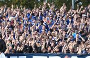 Fans, DSC Arminia Bielefeld, Saison 2014/2015, Fans, DSC Arminia Bielefeld, Saison 2014/2015