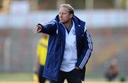 Trainer, Jürgen Luginger, Schalke 04 II, Regionalliga West, Saison 2014/15, Trainer, Jürgen Luginger, Schalke 04 II, Regionalliga West, Saison 2014/15