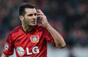 Emir Spahic, Bayer Leverkusen.