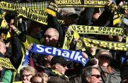 Fans, fc schalke 04, Borussia Dortmund, Schal, Fans, fc schalke 04, Borussia Dortmund, Schal