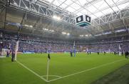 Rasen, Arena, Schalke-Fans, Eckfahne, Kreide, Rasen, Arena, Schalke-Fans, Eckfahne, Kreide