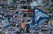 Fans, fc schalke 04, Nordkurve, Ultras, Saison 2014/15, Fans, fc schalke 04, Nordkurve, Ultras, Saison 2014/15