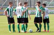 Mannschaft, Oberliga Westfalen, SV Zweckel, Saison 2014/15, Mannschaft, Oberliga Westfalen, SV Zweckel, Saison 2014/15