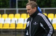 Trainer, DSC Wanne-Eickel, Martin Stroetzel, Saison 2013/14, Trainer, DSC Wanne-Eickel, Martin Stroetzel, Saison 2013/14