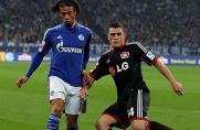 fc schalke 04, Bayer 04 Leverkusen, Kyriakos Papadopoulos, Leroy Sane, Saison 2014/15, fc schalke 04, Bayer 04 Leverkusen, Kyriakos Papadopoulos, Leroy Sane, Saison 2014/15