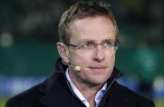 Ralf Rangnick, TV-Experte, Ralf Rangnick, TV-Experte