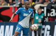 Anthony Modeste, 1. FC Köln, TSG Hoffenheim