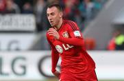 Drmic, Bayer leverkusen