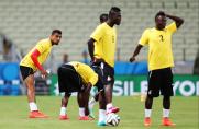 Afriyie Acquah, Afriyie Acquah