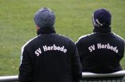 SV Herbede, Saison 2013/14, SV Herbede, Saison 2013/14