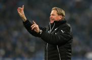 TSG 1899 Hoffenheim, Markus Gisdol, Saison 2013/2014, TSG 1899 Hoffenheim, Markus Gisdol, Saison 2013/2014