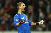 Eintracht Frankfurt, Kevin Trapp, Saison 2013/2014, Eintracht Frankfurt, Kevin Trapp, Saison 2013/2014