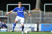 Schalke 04 II, Regionalliga West, Philipp Max, Saison 2013/14, Schalke 04 II, Regionalliga West, Philipp Max, Saison 2013/14