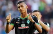 SV Werder Bremen, Saison 2014/15, Davie Selke, SV Werder Bremen, Saison 2014/15, Davie Selke