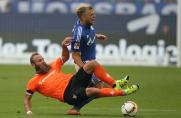 Marco Sailer, Johannes Geis, FC Schalke 04, SV Darmstadt 98