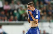 FC Schalke 04, Julian Draxler