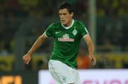 Werder Bremen, Saison 2013/2014, Zlatko Junuzovic, Werder Bremen, Saison 2013/2014, Zlatko Junuzovic