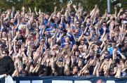 Fans, DSC Arminia Bielefeld, Saison 2014/2015, Fans, DSC Arminia Bielefeld, Saison 2014/2015