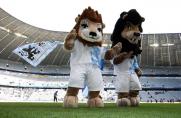 Allianz-Arena, 1860 München, Maskottchen, Löwen, Allianz-Arena, 1860 München, Maskottchen, Löwen