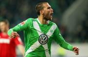 Bas Dost, Bas Dost