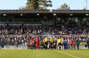 SV Sandhausen
1860 München