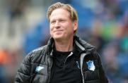 Trainer, 1899 Hoffenheim, Markus Gisdol, Saison 2014/15, Trainer, 1899 Hoffenheim, Markus Gisdol, Saison 2014/15