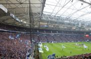 Schalke, Arena, allgemein.