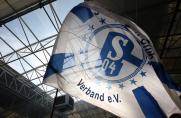 Fahne, SFCV, Schalker Fan-Club Verband, Fahne, SFCV, Schalker Fan-Club Verband