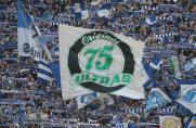 Schalke, Ultras.