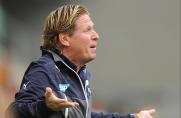 Trainer, TSG 1899 Hoffenheim, Markus Gisdol, Saison 2013/14, Trainer, TSG 1899 Hoffenheim, Markus Gisdol, Saison 2013/14