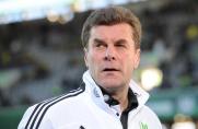 VfL Wolfsburg, Dieter Hecking, Saison 2013/2014, VfL Wolfsburg, Dieter Hecking, Saison 2013/2014