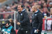 Huub Stevens, TSG Hoffenheim, Huub Stevens, TSG Hoffenheim