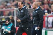 Huub Stevens, TSG Hoffenheim, Huub Stevens, TSG Hoffenheim