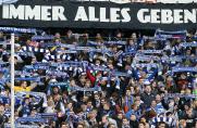 MSV Duisburg, Fans, Ultras, Choreo