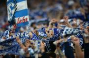 Schalke 04, Fans, Fankurve.