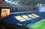 Schalke, Choreo.