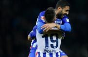 Vedad Ibisevic, Vedad Ibisevic