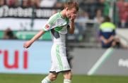 VfL Wolfsburg, Saison 2013/2014, Maximilian Arnold, VfL Wolfsburg, Saison 2013/2014, Maximilian Arnold