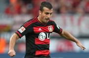 Bayer Leverkusen, Giulio Donati, Bayer Leverkusen, Giulio Donati