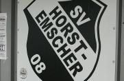 SV Horst-Emscher 08, Saison 2013/14, SV Horst-Emscher 08, Saison 2013/14