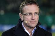 Ralf Rangnick, TV-Experte, Ralf Rangnick, TV-Experte