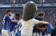 VfL Wolfsburg, fc schalke 04, Schalke - Wolfsburg, VfL Wolfsburg, fc schalke 04, Schalke - Wolfsburg