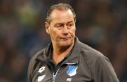 Trainer, Huub Stevens, TSG 1899 Hoffenheim, Saison 2015/16, Trainer, Huub Stevens, TSG 1899 Hoffenheim, Saison 2015/16