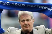 Mäzen, 1899 Hoffenheim, Dietmar Hopp, Saison 2013/14, Mäzen, 1899 Hoffenheim, Dietmar Hopp, Saison 2013/14