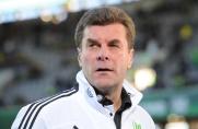 VfL Wolfsburg, Dieter Hecking, Saison 2013/2014, VfL Wolfsburg, Dieter Hecking, Saison 2013/2014