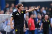 Trainer, Borussia Dortmund, Hannes Wolf, B-Junioren, Saison 2013/14, Trainer, Borussia Dortmund, Hannes Wolf, B-Junioren, Saison 2013/14