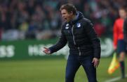 TSG Hoffenheim, Julian Nagelsmann, TSG Hoffenheim, Julian Nagelsmann