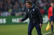 TSG Hoffenheim, Julian Nagelsmann, TSG Hoffenheim, Julian Nagelsmann