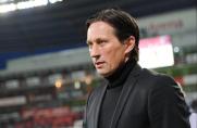 Roger Schmidt, Bayer Leverkusen.